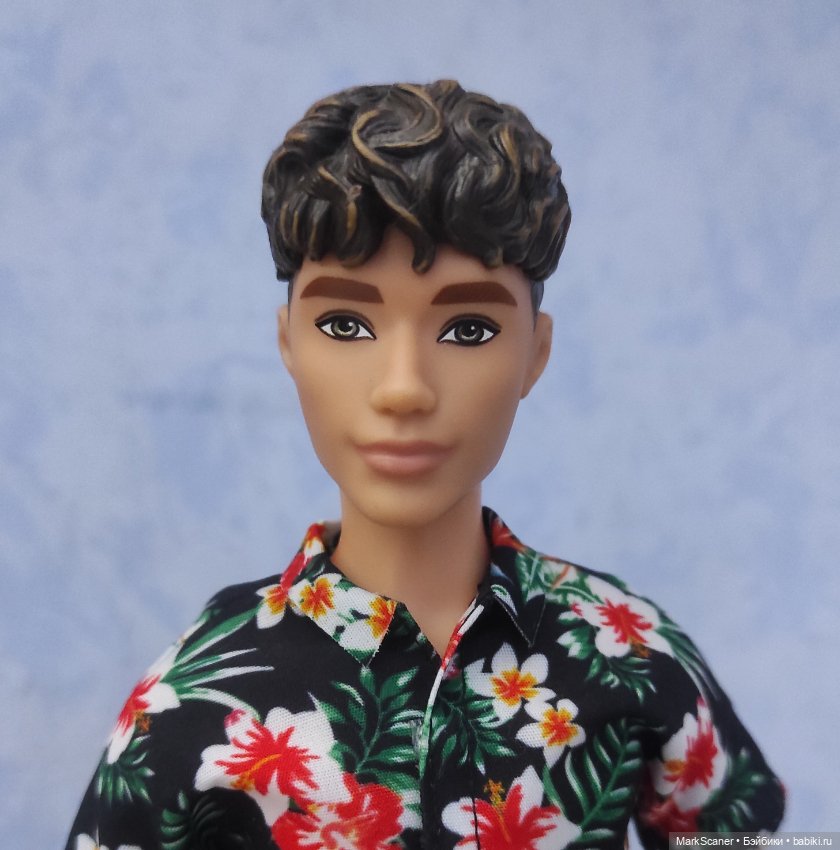 Кен Fashionista Hbv24 на теле Фиеро