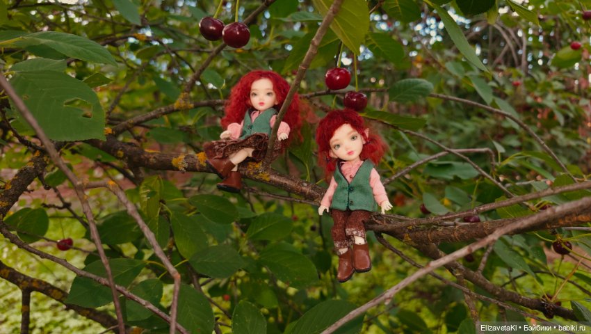 Вишенка — Куклы BJD (фото 3)