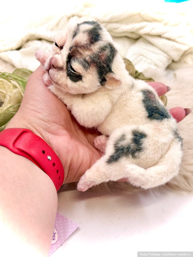 Totty 🐶 — Авторские игрушки (фото 6)