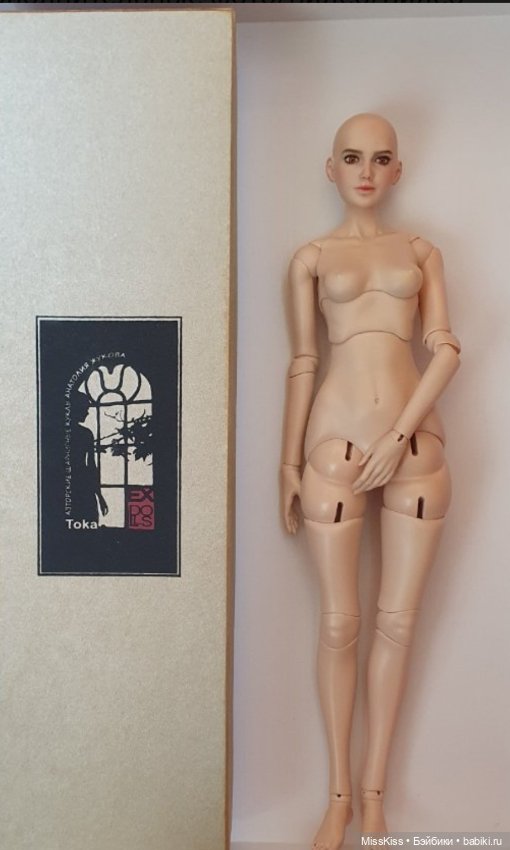 Дарья от Анатолия Жукова — Авторские куклы BJD (фото 6)