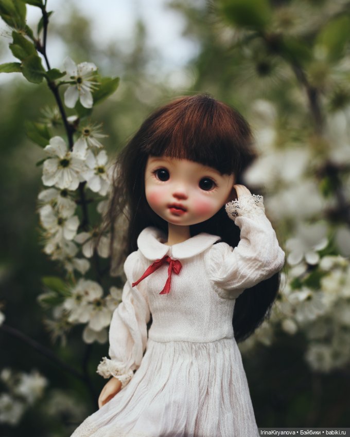 Ayao Doll — Азиатские куклы (фото 2)