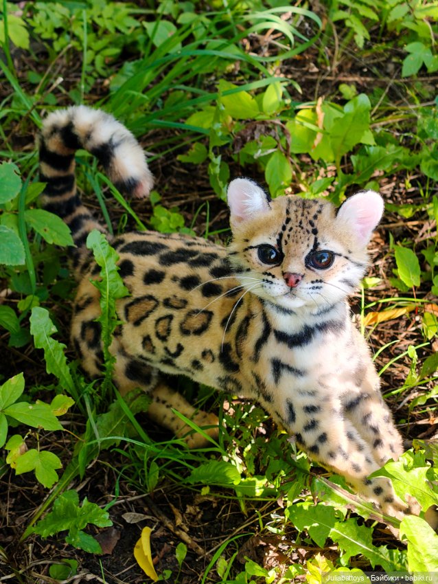 Игрушка кот. Дикий кот маргай