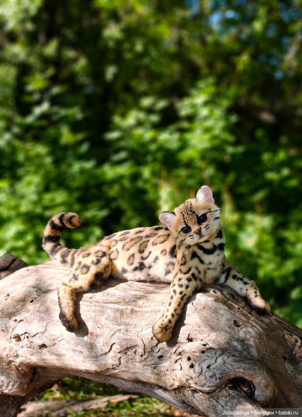 Игрушка кот. Дикий кот маргай (фото 9)