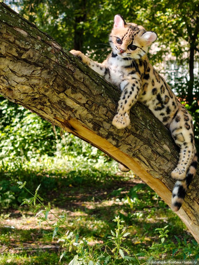 Игрушка кот. Дикий кот маргай (фото 3)