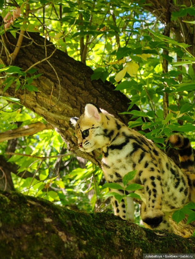Игрушка кот. Дикий кот маргай (фото 10)