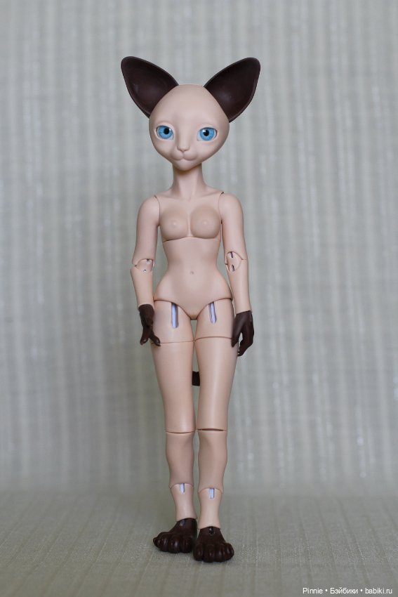 Сиамская кошечка Джорджиана