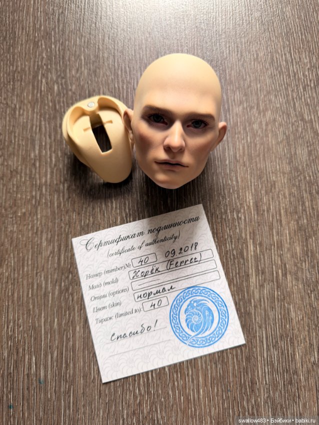 Голова DSdoll Ferret — Куклы BJD