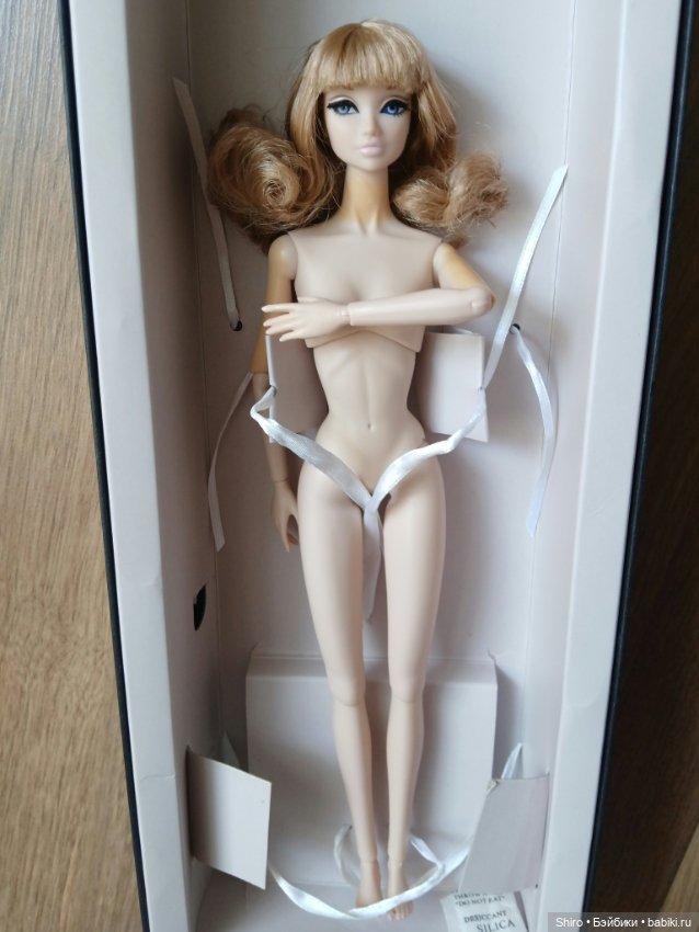 Nippon Misaki Amelie — Шарнирные куклы (не BJD) (фото 3)