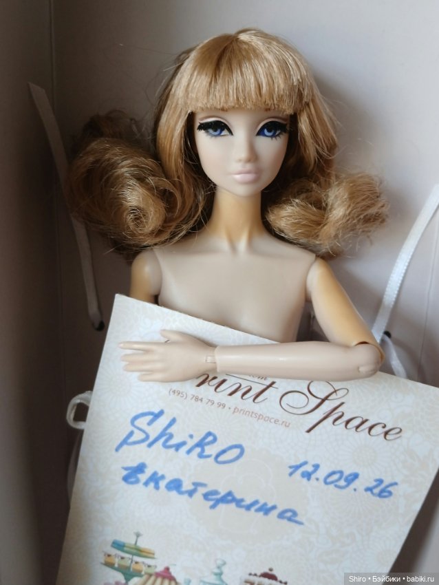 Nippon Misaki Amelie — Шарнирные куклы (не BJD) (фото 2)