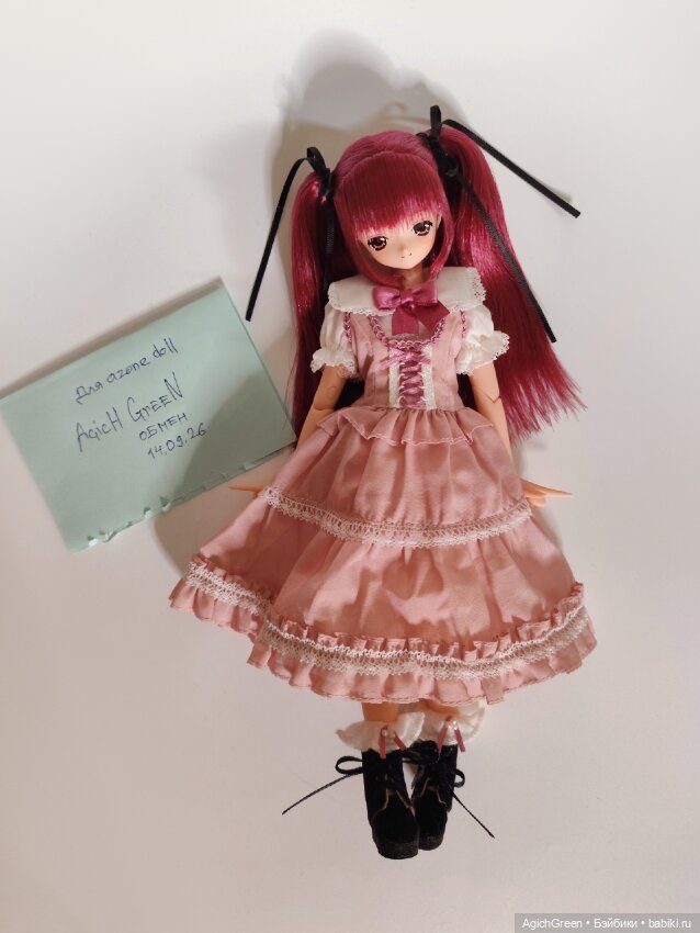 Обмен Lien на Miu или Mia, mamachapp или marmit! Azone Pureneemo (фото 2)