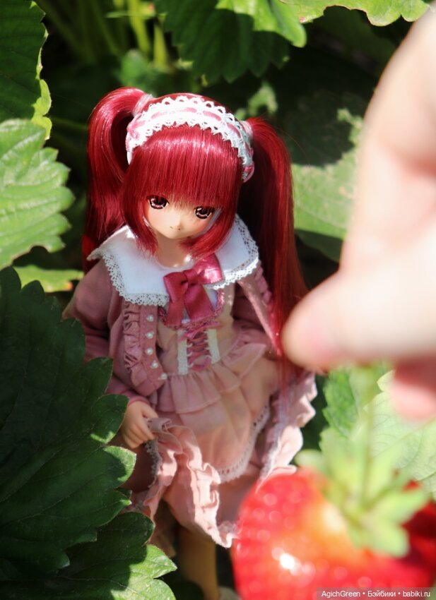 Обмен Lien на Miu или Mia, mamachapp или marmit! Azone Pureneemo (фото 3)