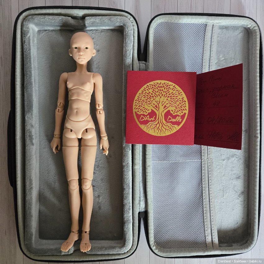 Лотос Анны Шиткиной — Авторские куклы BJD