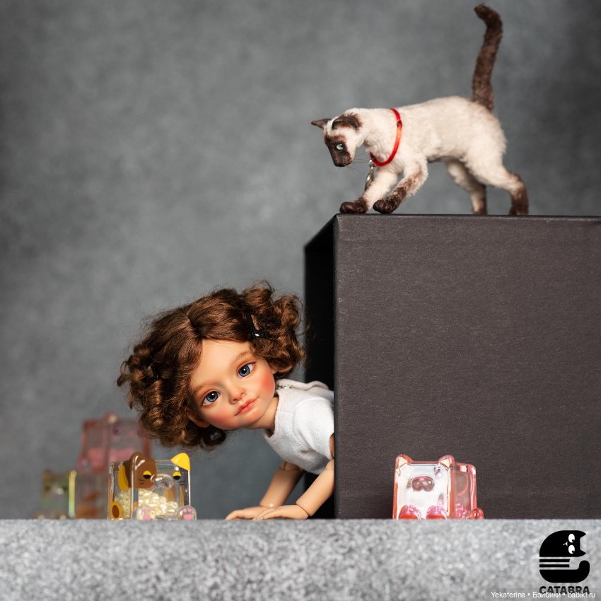 Catabra Ронни — Авторские куклы BJD (фото 3)