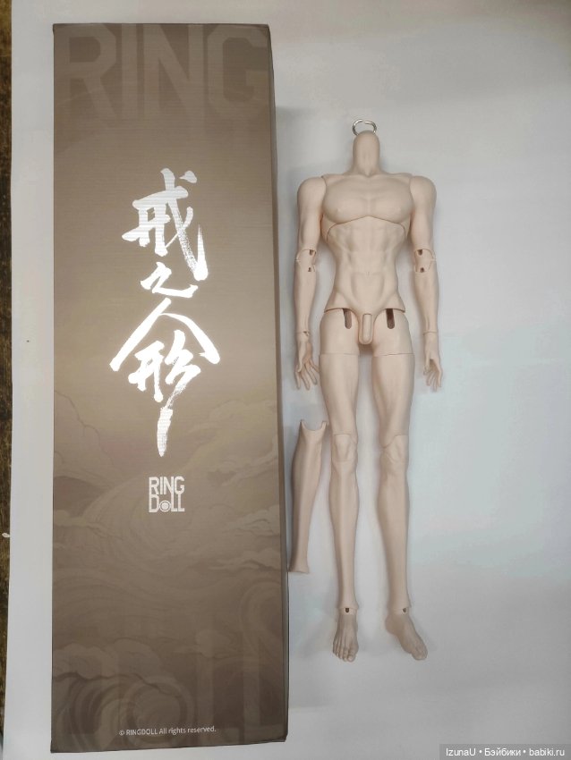 Тело RingDoll RGM7 — Части кукол BJD (фото 3)