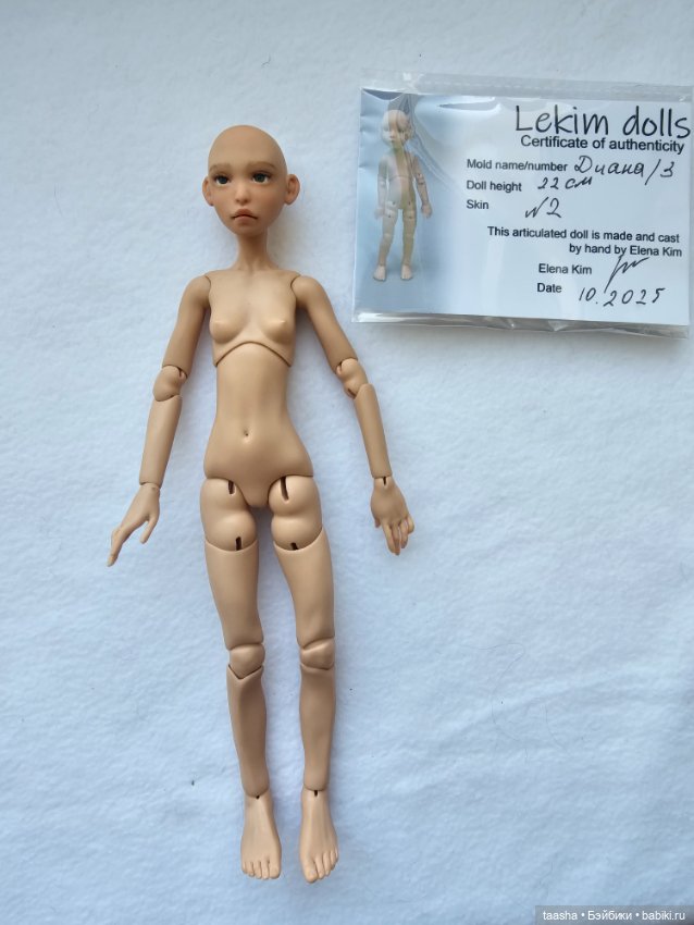 Диана от Елены Ким — Авторские куклы BJD (фото 8)
