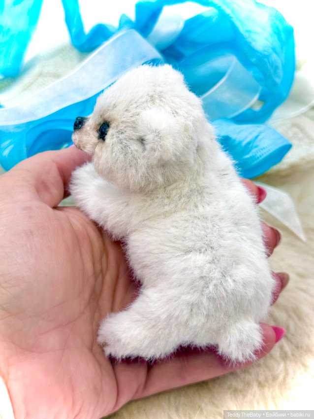 Amo🐻‍❄️♥️ — Авторские игрушки (фото 5)