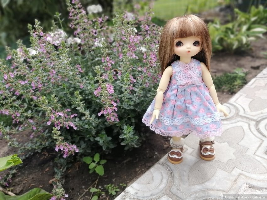 Бжд LittleFee Flora FairyLand (фото 5)