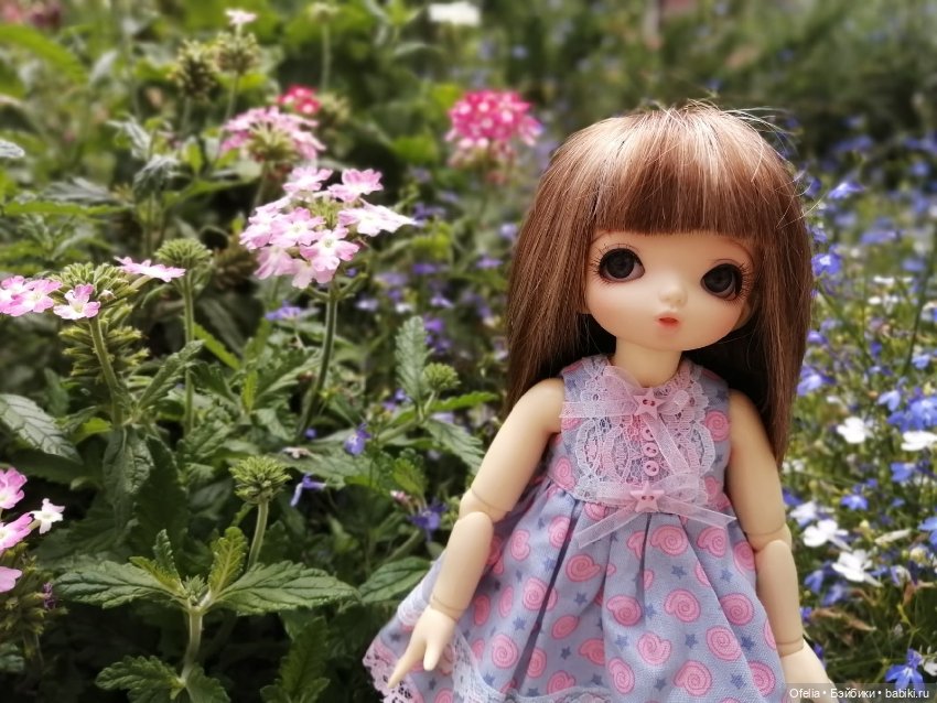 Бжд LittleFee Flora FairyLand (фото 6)