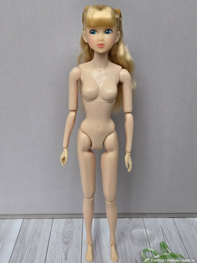 Momoko — Шарнирные куклы (не BJD) (фото 3)