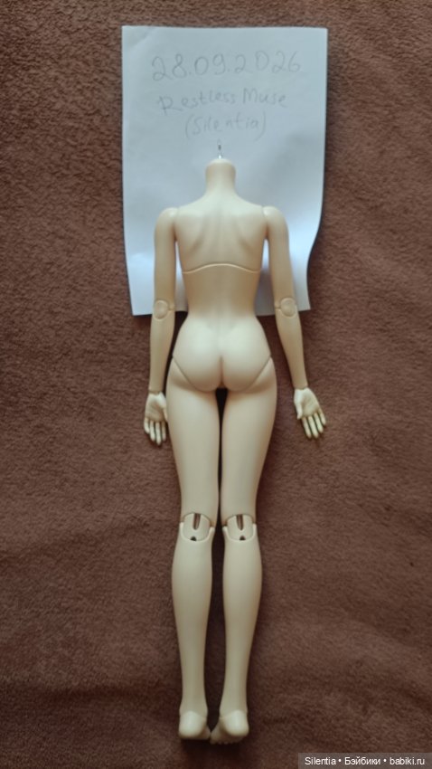 Женское тело SID Normal — Части кукол BJD (фото 2)