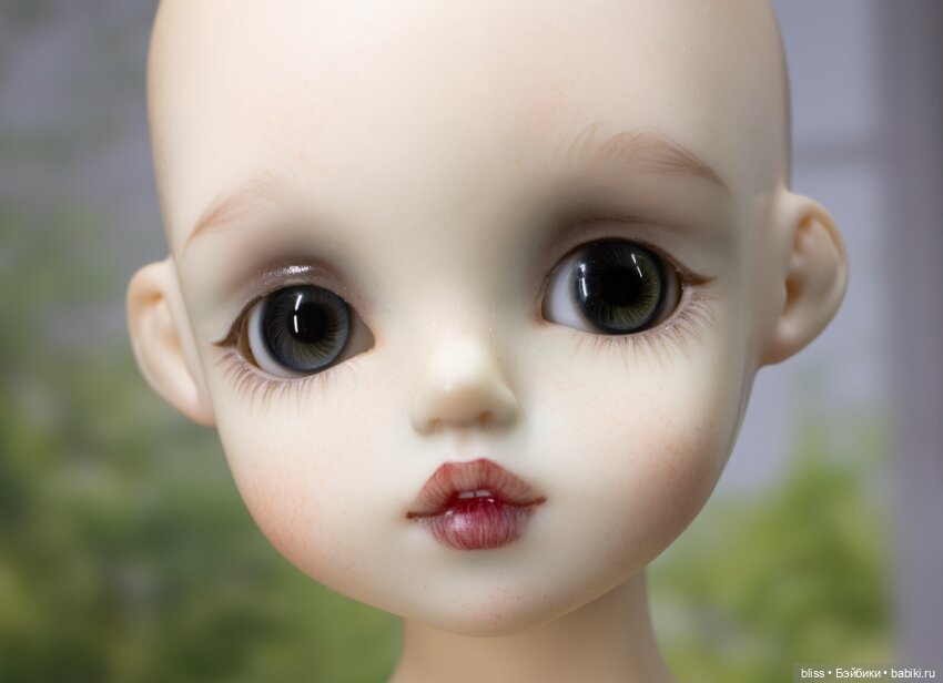 Rosen Lied Cosette — Куклы BJD (фото 5)