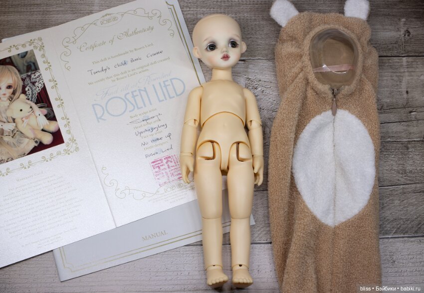 Rosen Lied Cosette — Куклы BJD (фото 3)