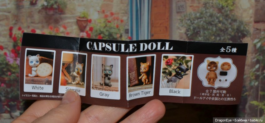 Capsule doll Котик №5 — Игрушки для детей (фото 2)