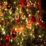 Предновогодние и Новогодние фотографии наших кукол-детей