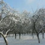 Какой прогноз у нас сегодня....