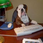 Может поболтаем?