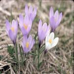 Обсуждение