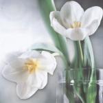 Выбираем лучшую тему для новых конкурсов