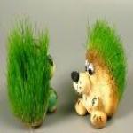 Травянчики-эколюдики или "живые" игрушки =)