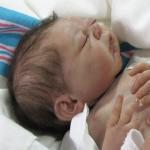 Tinkerbell Nursery - реалистичные куклы-младенцы Реборн от Helen Jalland