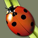 Мои вязалочки для кукол