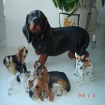 Вот такие собачки живут у меня дома