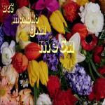 23 февраля-День Защитников Отечества!