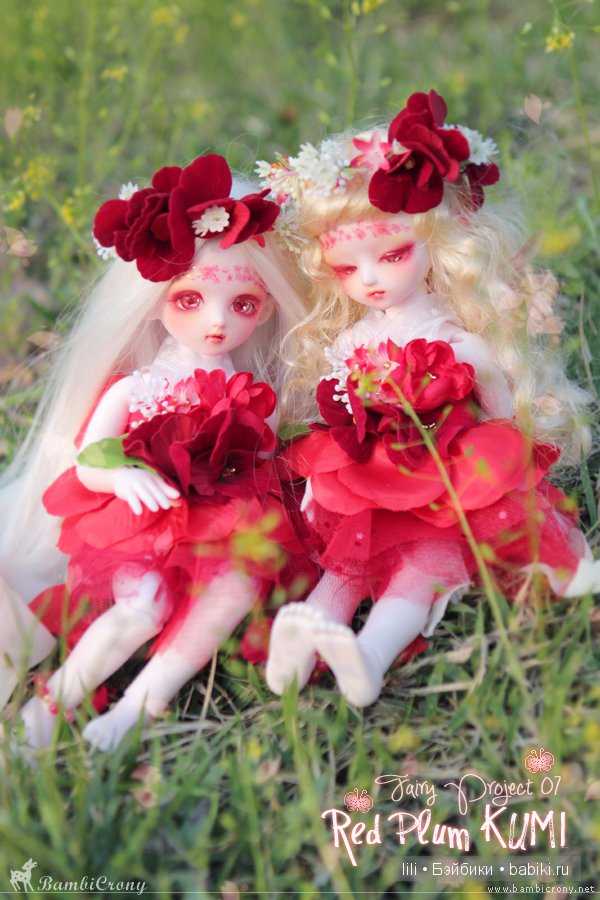 Куколка BJD Red Plum Kumi от BambiCrony (фото 4)