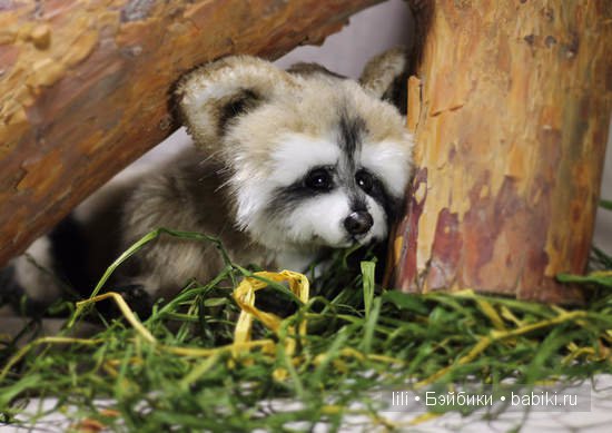 Авторские игрушки ручной работы Ирины Кудряшовой