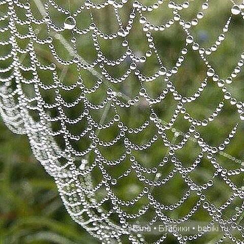 Капелька :) — Интересное и необычное: фотоподборки (фото 5)