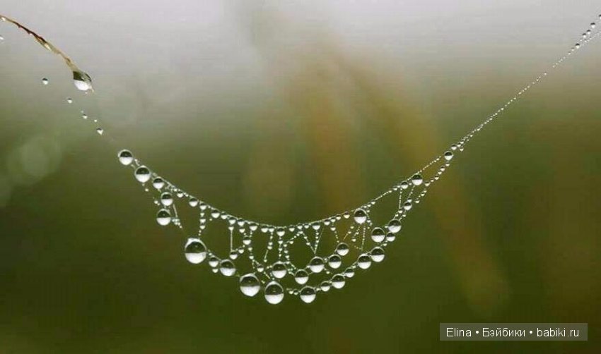 Капелька :) — Интересное и необычное: фотоподборки (фото 3)