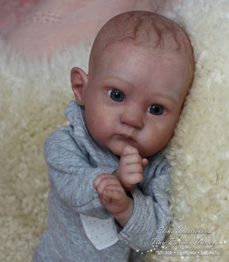 Пикси, маленький воробушек