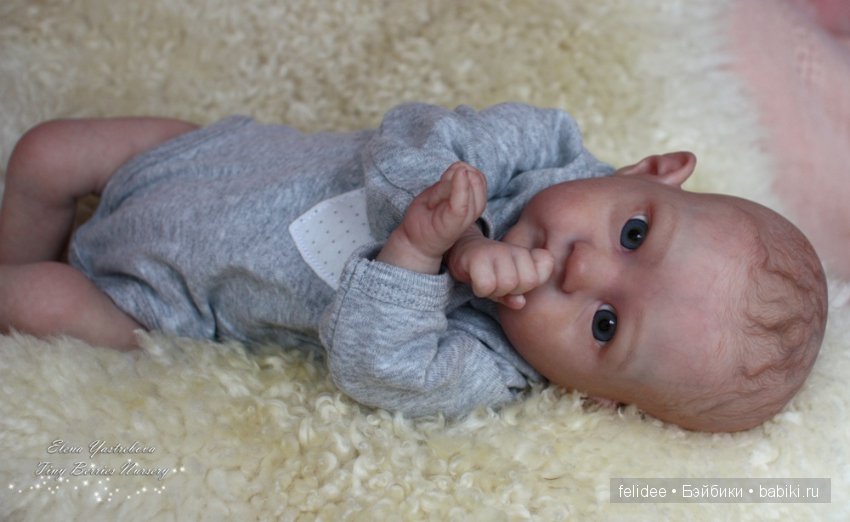 Пикси, маленький воробушек