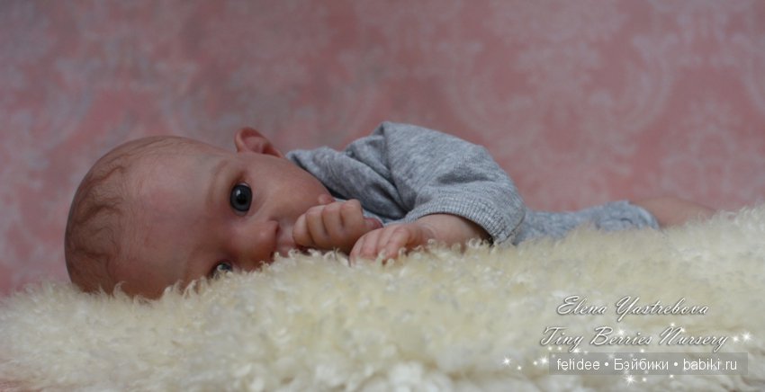 Пикси, маленький воробушек