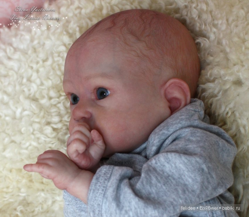 Пикси, маленький воробушек (фото 6)