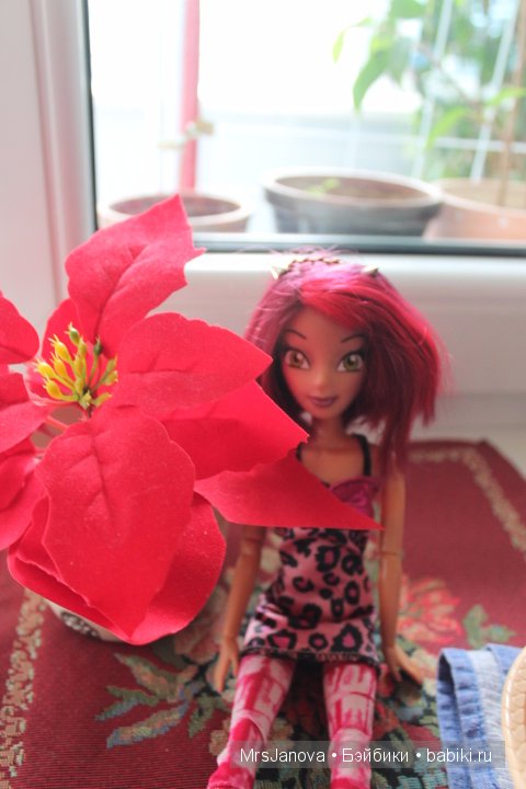 Урок гербологии ))) Предлагаю маленькую викторину с подарком (фото 4)