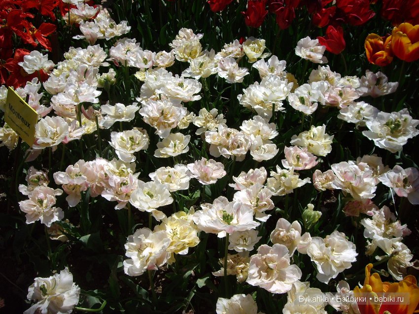 Сказка с названием " Крым". Часть 2