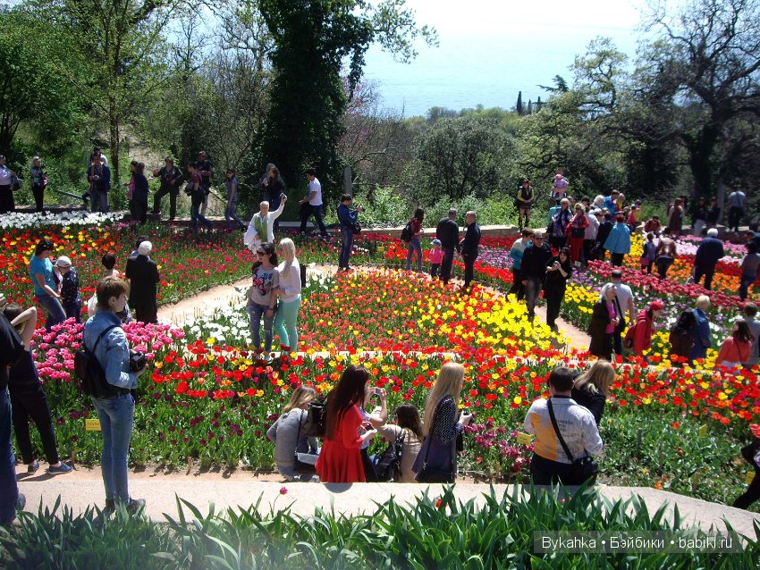 Сказка с названием " Крым". Часть 2 (фото 4)