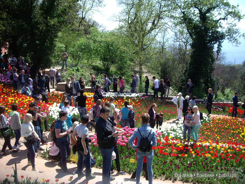 Сказка с названием " Крым". Часть 2 (фото 5)