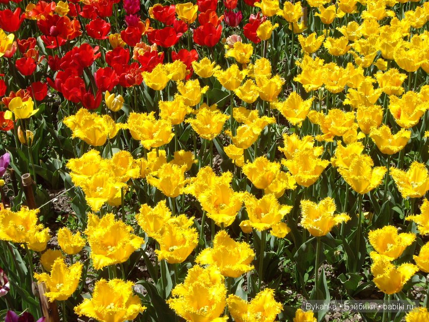 Сказка с названием " Крым". Часть 2